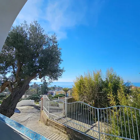 Holiday home Limoneto Ischia *