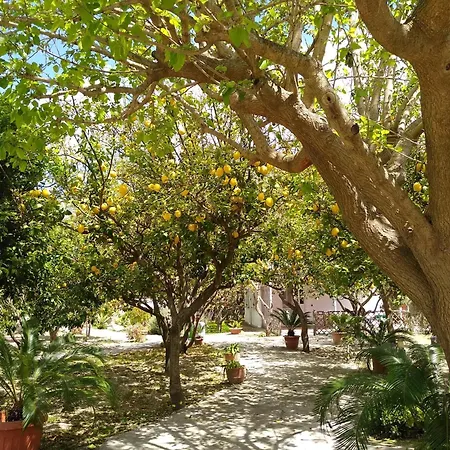 Limoneto Ischia * Forio (Isola d'Ischia)
