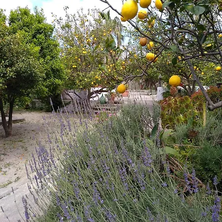 Holiday home Limoneto Ischia