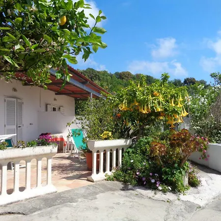 Limoneto Ischia Forio (Isola d'Ischia)
