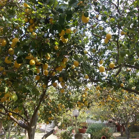 Limoneto Ischia Nyaraló