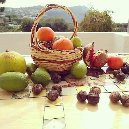 Holiday home Limoneto Ischia Forio (Isola d'Ischia)