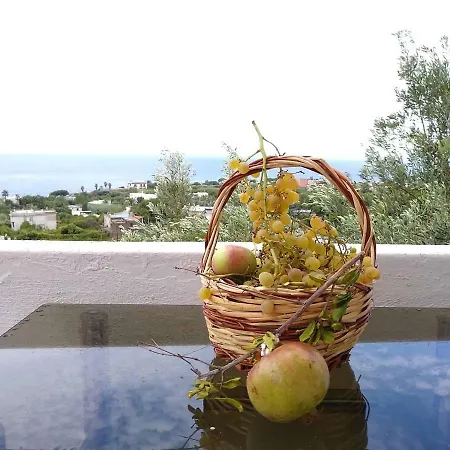 Limoneto Ischia Nyaraló Forio di Ischia