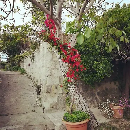 Limoneto Ischia Holiday home Forio (Isola d'Ischia)