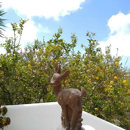 Limoneto Ischia