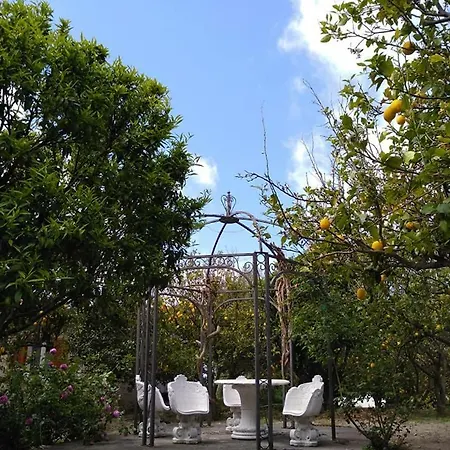 Holiday home Limoneto Ischia Forio (Isola d'Ischia)