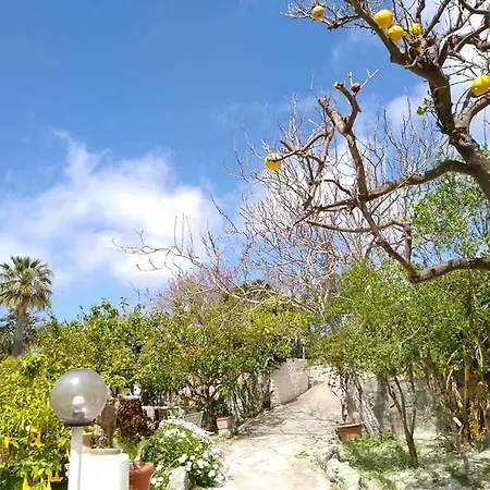 Holiday home Limoneto Ischia Forio (Isola d'Ischia)