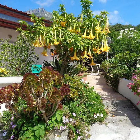 Hébergement de vacances Limoneto Ischia Forio di Ischia