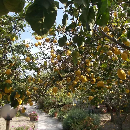 Limoneto Ischia *