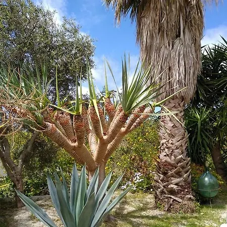 Limoneto Ischia *